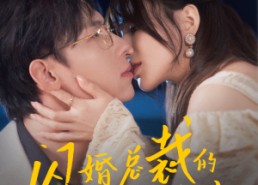 【闪婚总裁的心尖宠】77集短剧在线免费观映