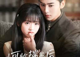 【小可怜揣崽后被霍爷宠上天】83集短剧免费高清在线观赏