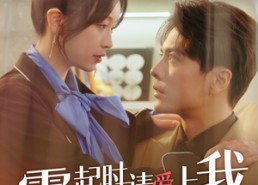 【雾起时请爱上我】80集短剧在线免费赏看