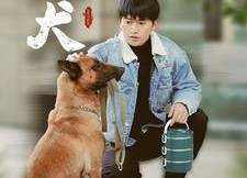 【忠犬】34集短剧免费在线览看