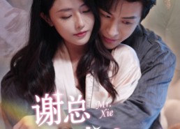 【谢总你入戏太深】38集短剧免费在线看全集