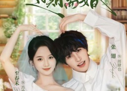 【不候，过期离婚】86集短剧在线免费全集赏看
