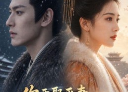 【你要娶平妻，我请旨和离】80集精彩短剧免费全集观赏