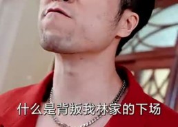 【我为殿主，天下无魔】80集短剧全集高清观视