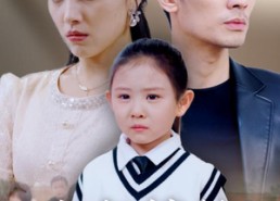 【十年情丝终成空茧】30集在线看短剧全集