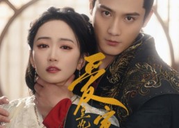 【爱定了，皇妃娘娘也挡不住】72集短剧全集在线免费观