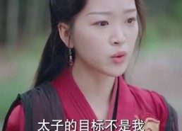 【大脚医妃】77集短剧免费全集赏