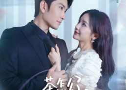 【茶怎么了不影响我重生开大】80集短剧全集免费看