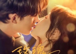 【玫瑰藏于心间】60集短剧免费全集观览