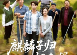 【麒麟子归报春晖】36集在线短剧免费高清看