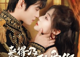 【来得及说我爱你】70集高清短剧在线畅看