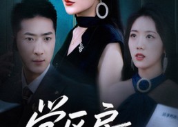 【学区房保卫战＆学区房的风波】45集短剧全集在线免费畅看