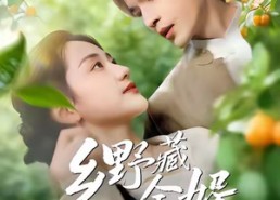 【乡野藏金婿】50集短剧在线全集免费观