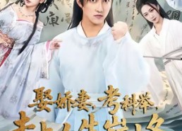 【娶娇妻，考科举，走上人生巅峰】80集短剧全集在线完整播放
