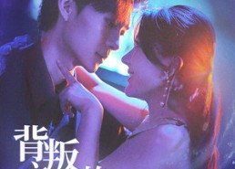 【背叛之后的闪耀人生】65集短剧免费高清览看