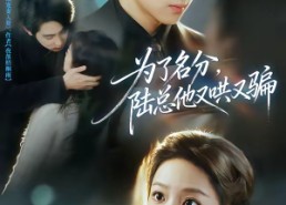 【为了名分，陆总他又哄又骗】80集全网免费短剧在线看全集