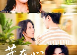 【藏在心底的月光】70集短剧在线全集免费看