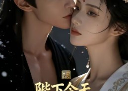 【陛下今天掉马甲了吗】104集短剧在线高清观看