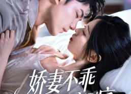 【娇妻不乖贺先生纵容到底】50集短剧在线免费全集观看