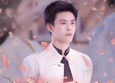 【桃花医圣】177集免费短剧在线一览