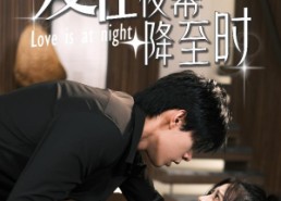 【爱在夜幕降至时】73集短剧全集在线畅享观看