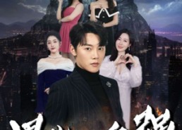 【男儿当自强】90集短剧免费在线完整看