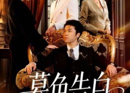 【暮色告白】80集短剧在线全集免费速看