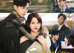 【爱已无踪】35集短剧免费全集随心看