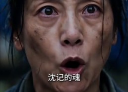 【那年除夕一碗肉】59集短剧免费全集直看