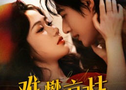 【难攀京枝】74集免费短剧在线高清看