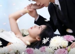 【占有玫瑰】60集短剧全集免费随心观看