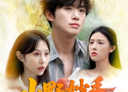 【山野妙手小村医】78集高清短剧在线即看