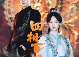 【四相百门】62集短剧免费畅享在线看