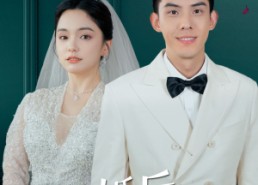 【闪婚后江总他又宠又撩】82集短剧全集免费观看