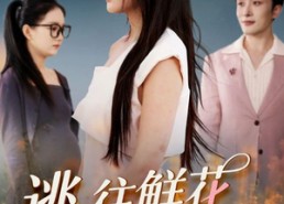 【逃往鲜花盛开的春天】70集线上短剧免费全集观