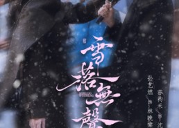 【雪落无声】20集短剧全集免费看无广告