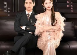 【我家赘婿世无双】73集短剧免费全集赏看