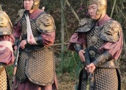 【我一个质子怎么就权倾朝野了】65集短剧完整版免费在线看