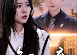 【晚风知我意】50集短剧免费全集赏览