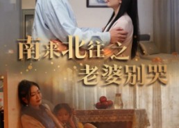 【南来北往之老婆别哭】87集高清短剧免费看全集
