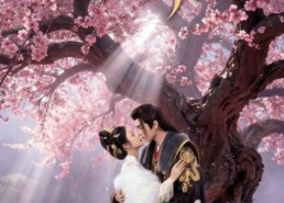 【误把女娇娥，错认同袍臣】28集短剧在线免费赏看