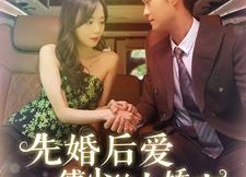 【先婚后爱傅少的小娇妻】95集精彩短剧免费阅看