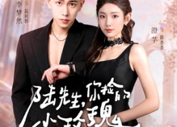 【陆先生，你捡的小玫瑰又掀桌了之荆棘玫瑰】68集短剧在线观看无广告