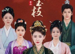 【错惹金枝】84集短剧免费在线视看