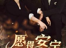【愿得安宁司南情】76集在线短剧免费全集赏看