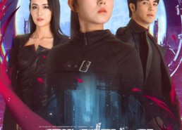 【黑寡妇&夺命黑寡妇】81集免费短剧全集畅快看