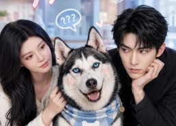 【骗你是小狗】20集短剧免费在线高清赏