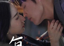 【复燃】68集在线短剧免费全集观