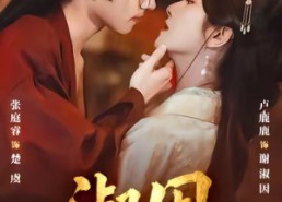 【淑因】65集完整短剧免费在线播放