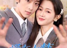 【爱在大梦初醒时】100集短剧免费在线全集览